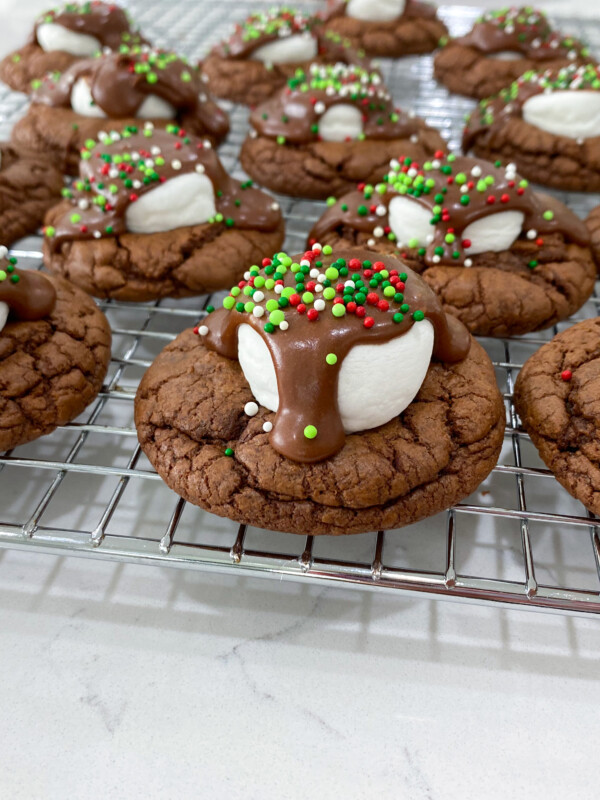 hot cocoa cookies