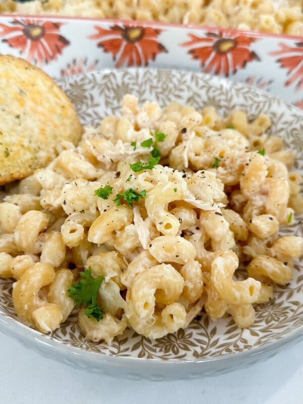 chicken alfredo bake