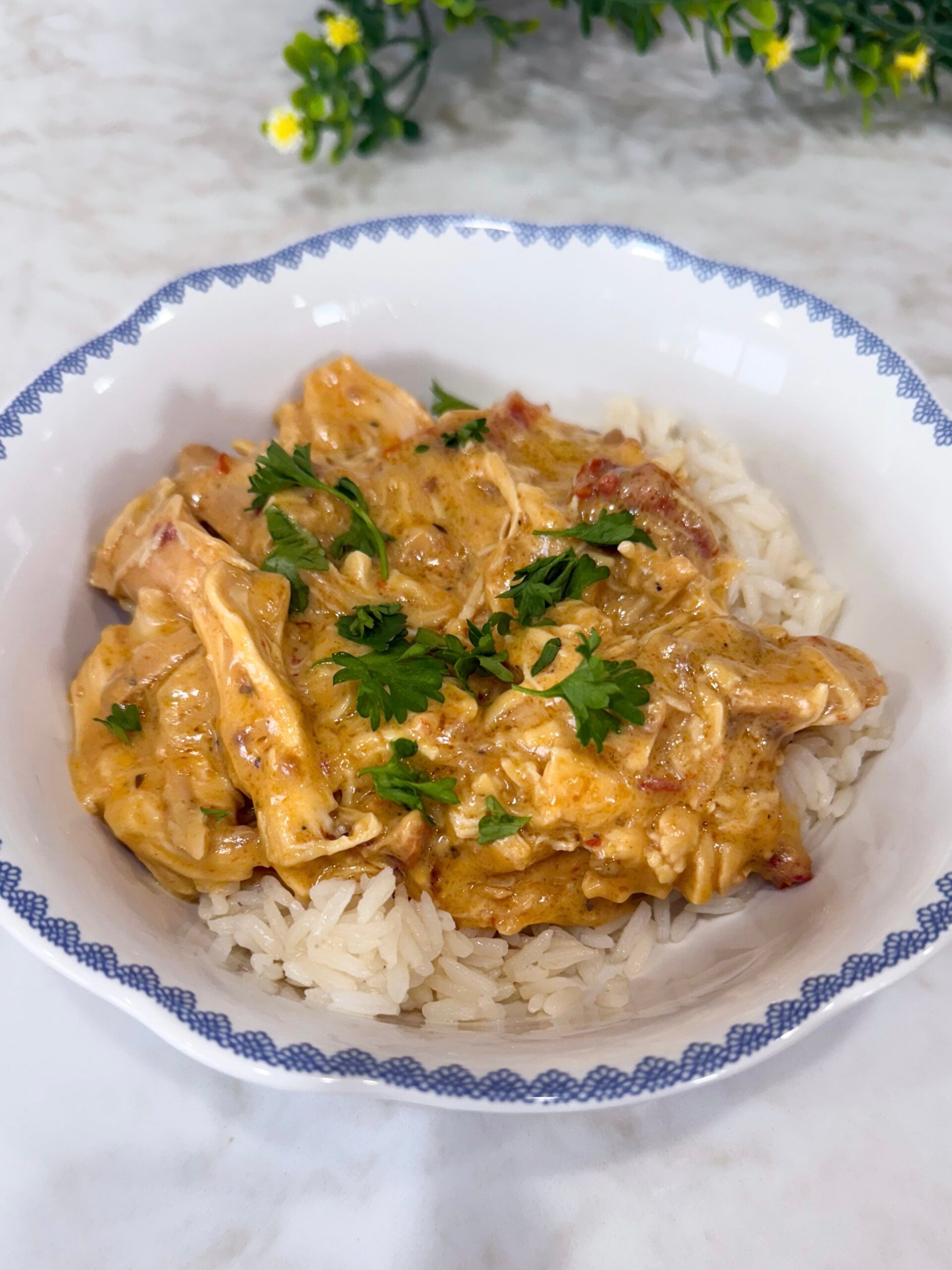 Alfredo Tuscan chicken served over rice