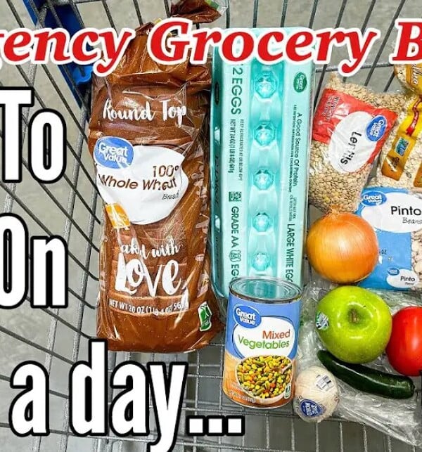 how to live on $1 a day