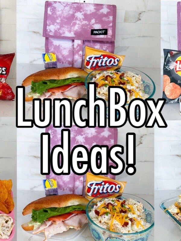 packed lunchbox ideas