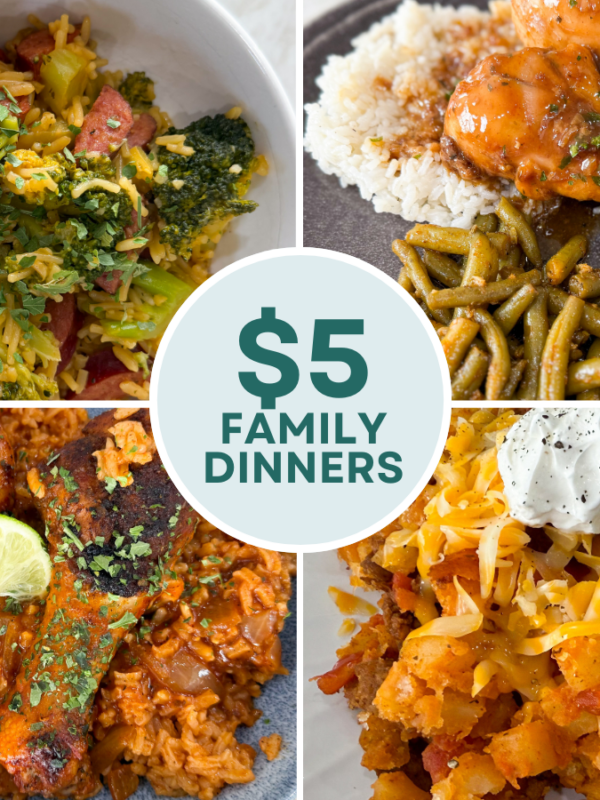 extreme budget family dinner recipes