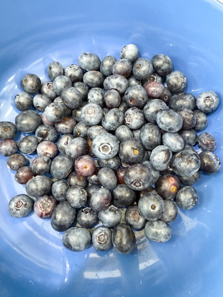 fresh blueberries