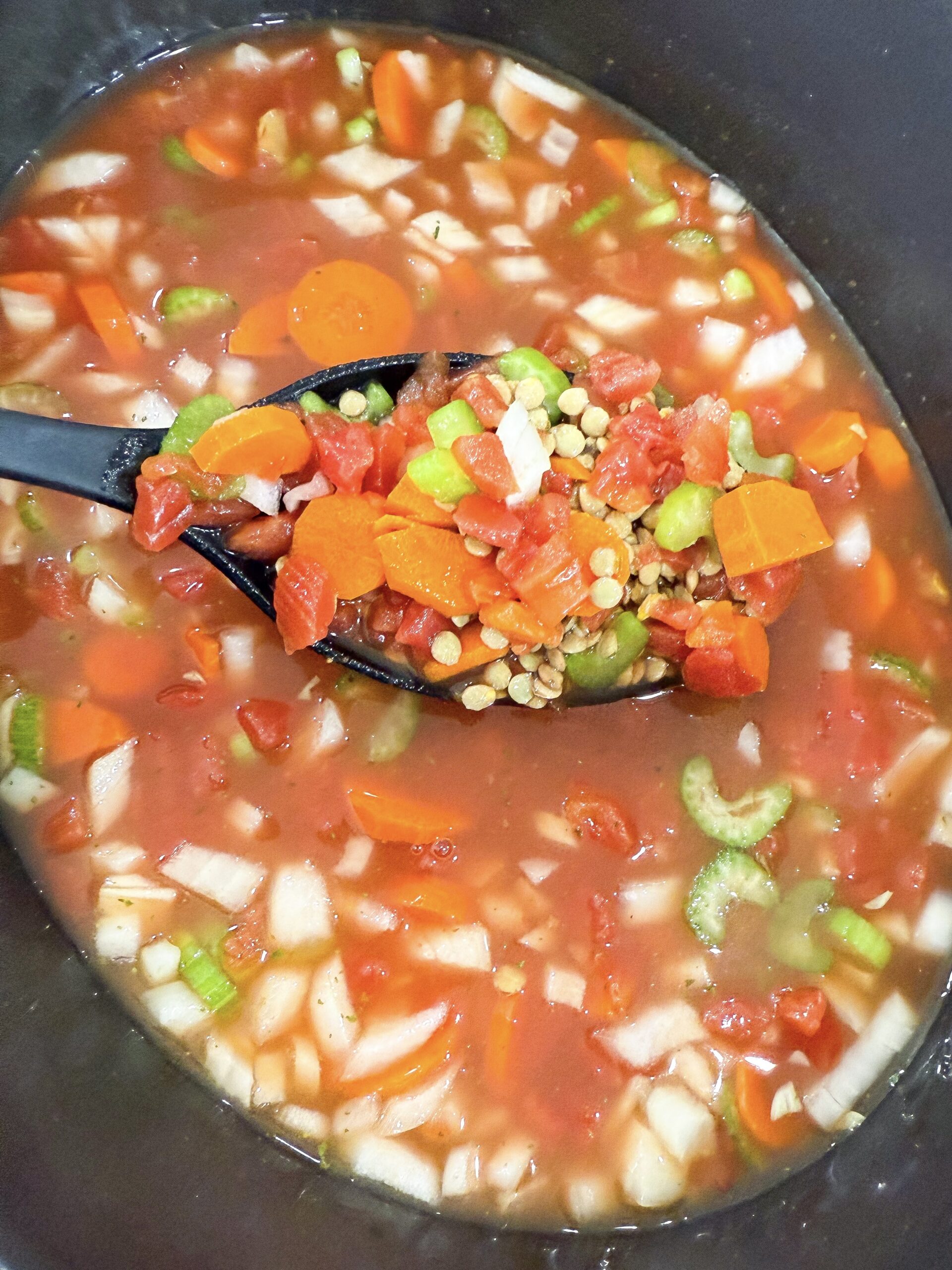 Lentils, broth, seasonings, and vegetables in slow cooker before cooking