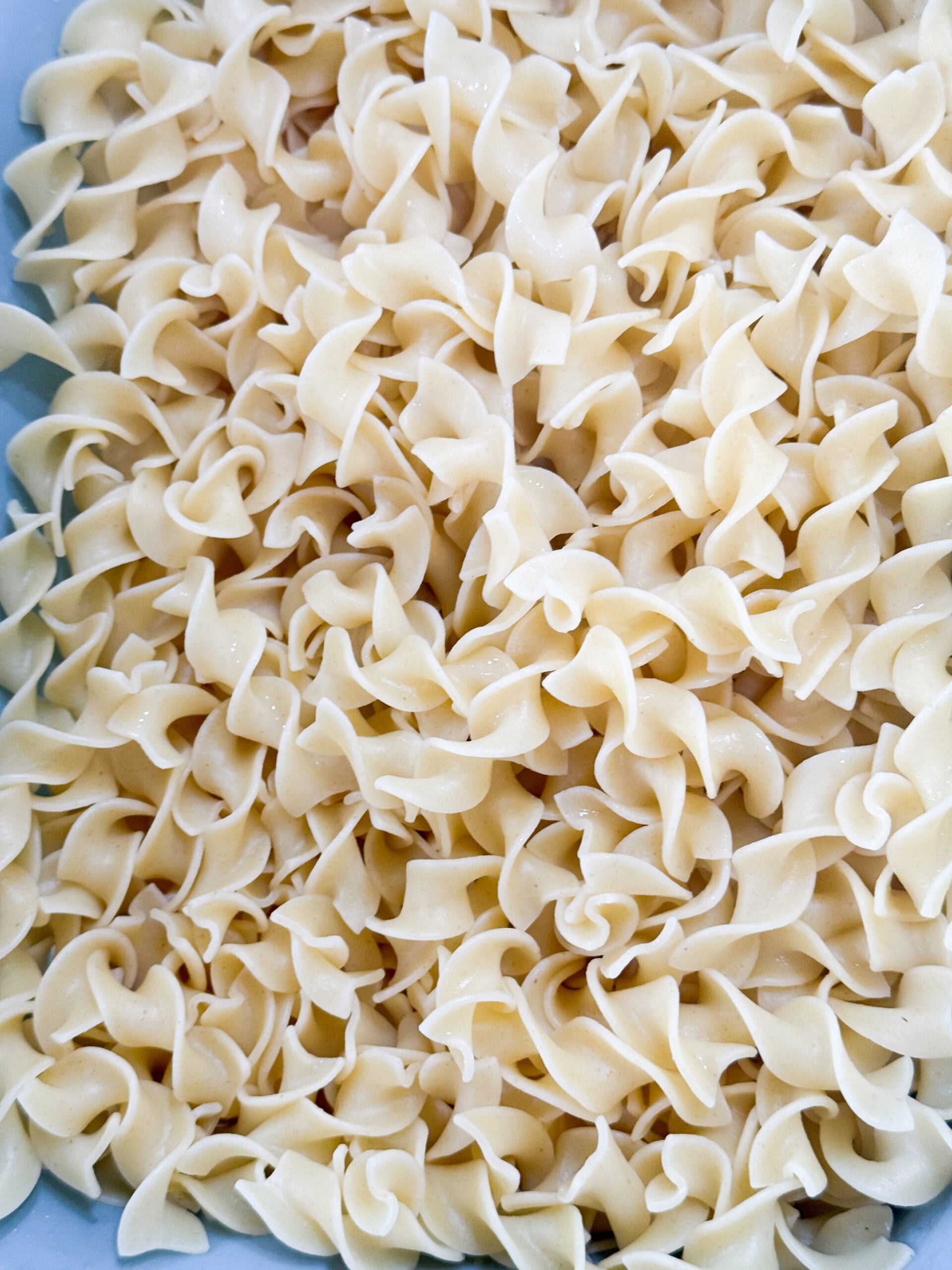 Noodles in a bowl for for beef stroganoff